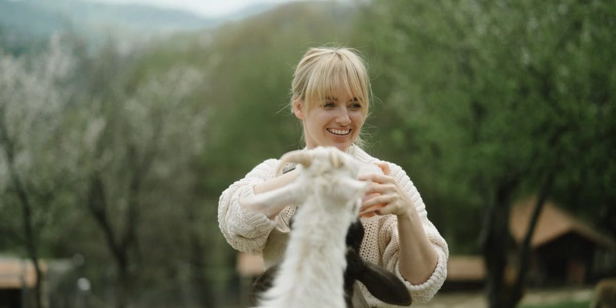 Joyful moment of a woman playing with a goat on a rural farm setting.