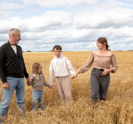 Happy family walking hand in hand through a golden wheat field on a sunny day.